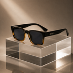 The Winslow Shades